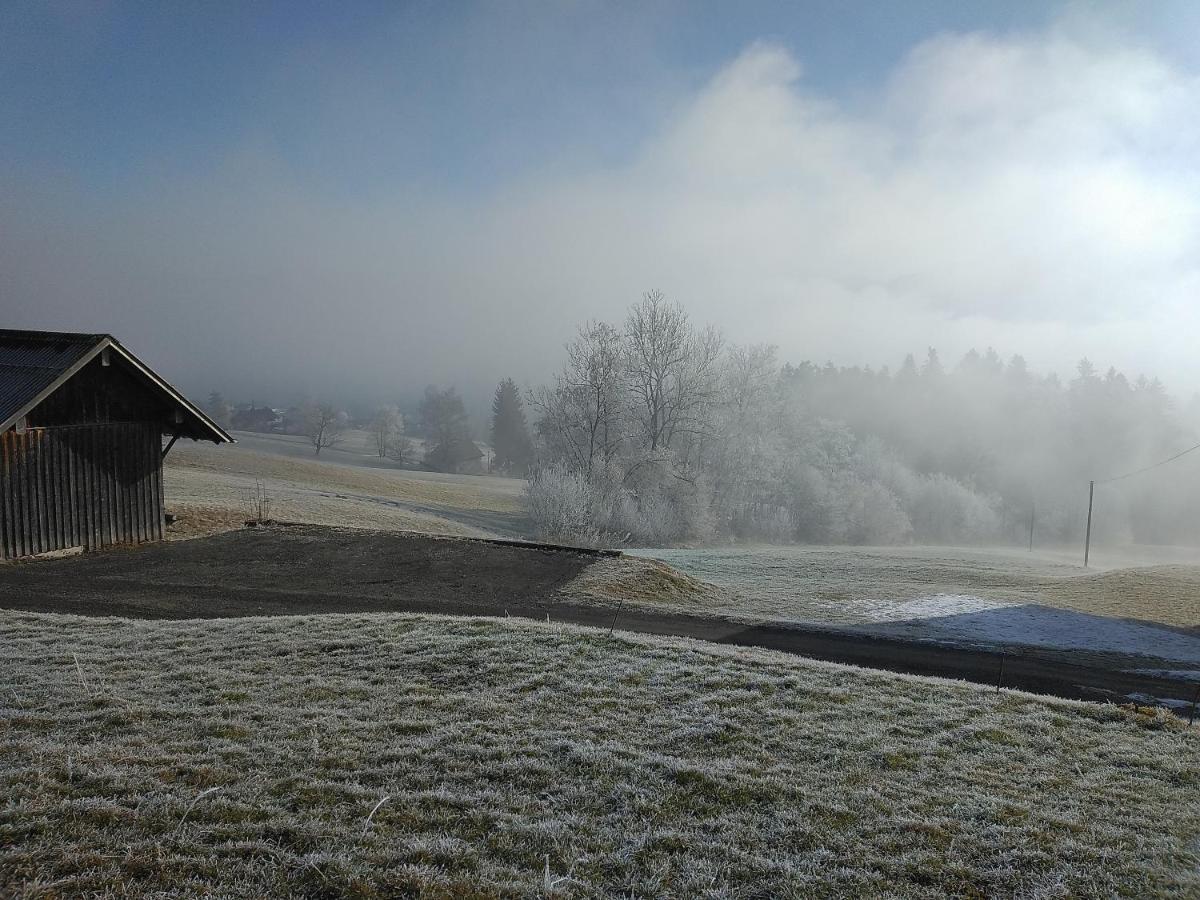 Tolles Einfamilienhaus Nahe Dem Bodensee Villa Lauterach Exteriör bild